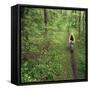 Mountain Biker on the Erie Canal Trail, Defiance, Ohio, USA-Chuck Haney-Framed Stretched Canvas