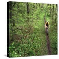 Mountain Biker on the Erie Canal Trail, Defiance, Ohio, USA-Chuck Haney-Stretched Canvas