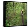 Mountain Biker on the Erie Canal Trail, Defiance, Ohio, USA-Chuck Haney-Framed Stretched Canvas