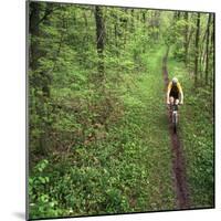 Mountain Biker on the Erie Canal Trail, Defiance, Ohio, USA-Chuck Haney-Mounted Photographic Print