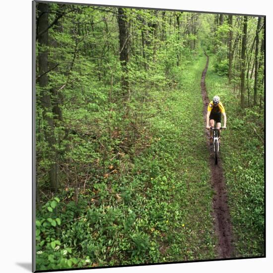 Mountain Biker on the Erie Canal Trail, Defiance, Ohio, USA-Chuck Haney-Mounted Photographic Print