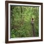 Mountain Biker on the Erie Canal Trail, Defiance, Ohio, USA-Chuck Haney-Framed Photographic Print