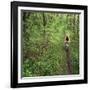 Mountain Biker on the Erie Canal Trail, Defiance, Ohio, USA-Chuck Haney-Framed Photographic Print