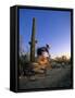 Mountain Biker on Trail near Tucson, Arizona, USA-Chuck Haney-Framed Stretched Canvas