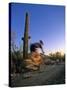 Mountain Biker on Trail near Tucson, Arizona, USA-Chuck Haney-Stretched Canvas