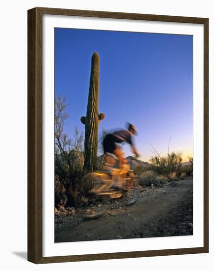 Mountain Biker on Trail near Tucson, Arizona, USA-Chuck Haney-Framed Premium Photographic Print