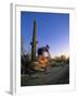 Mountain Biker on Trail near Tucson, Arizona, USA-Chuck Haney-Framed Premium Photographic Print