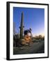 Mountain Biker on Trail near Tucson, Arizona, USA-Chuck Haney-Framed Premium Photographic Print