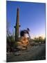 Mountain Biker on Trail near Tucson, Arizona, USA-Chuck Haney-Mounted Premium Photographic Print