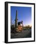 Mountain Biker on Trail near Tucson, Arizona, USA-Chuck Haney-Framed Photographic Print