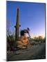 Mountain Biker on Trail near Tucson, Arizona, USA-Chuck Haney-Mounted Photographic Print