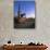 Mountain Biker on Trail near Tucson, Arizona, USA-Chuck Haney-Photographic Print displayed on a wall