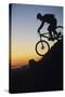 Mountain Biker Riding Down Slope-null-Stretched Canvas