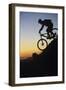 Mountain Biker Riding Down Slope-null-Framed Photo