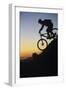 Mountain Biker Riding Down Slope-null-Framed Photo