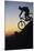 Mountain Biker Riding Down Slope-null-Mounted Photo