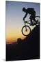 Mountain Biker Riding Down Slope-null-Mounted Photo