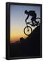 Essential Black