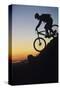 Just the Print