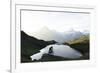 Mountain biker riding downhill at Bachalpsee lake at dawn, Grindelwald, Bernese Oberland-Roberto Moiola-Framed Photographic Print