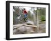 Mountain Biker Riding Stunts in Whitefish, Montana, USA-Chuck Haney-Framed Photographic Print