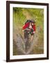 Mountain Biker Splashes Through Andrews Creek, Maah Daah Hey Trail in Medora, North Dakota, USA-Chuck Haney-Framed Photographic Print