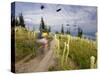 Mountain Biker Through the Beargrass on the Summit Trail, Whitefish Mountain Resort, Montana, USA-Chuck Haney-Stretched Canvas