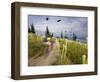 Mountain Biker Through the Beargrass on the Summit Trail, Whitefish Mountain Resort, Montana, USA-Chuck Haney-Framed Photographic Print