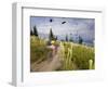 Mountain Biker Through the Beargrass on the Summit Trail, Whitefish Mountain Resort, Montana, USA-Chuck Haney-Framed Photographic Print