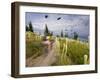 Mountain Biker Through the Beargrass on the Summit Trail, Whitefish Mountain Resort, Montana, USA-Chuck Haney-Framed Photographic Print