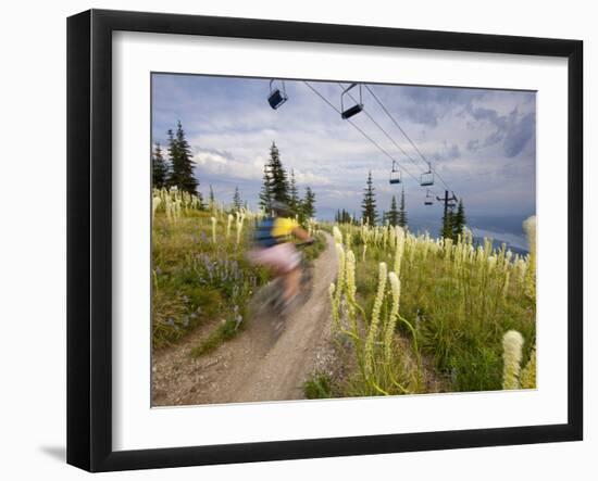 Mountain Biker Through the Beargrass on the Summit Trail, Whitefish Mountain Resort, Montana, USA-Chuck Haney-Framed Photographic Print