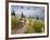 Mountain Biker Through the Beargrass on the Summit Trail, Whitefish Mountain Resort, Montana, USA-Chuck Haney-Framed Photographic Print