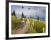 Mountain Biker Through the Beargrass on the Summit Trail, Whitefish Mountain Resort, Montana, USA-Chuck Haney-Framed Photographic Print