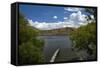 Mountain Bikers on Lake Hayes Circuit, Otago, New Zealand-David Wall-Framed Stretched Canvas