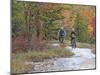 Mountain Bikers on the Slickrock of Dupont State Forest in North Carolina, USA-Chuck Haney-Mounted Photographic Print