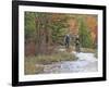 Mountain Bikers on the Slickrock of Dupont State Forest in North Carolina, USA-Chuck Haney-Framed Photographic Print