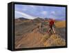 Mountain Bikers on the Zippy Doo Dah Trail in Fruita, Colorado, Usa-Chuck Haney-Framed Stretched Canvas