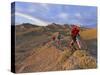 Mountain Bikers on the Zippy Doo Dah Trail in Fruita, Colorado, Usa-Chuck Haney-Stretched Canvas