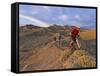 Mountain Bikers on the Zippy Doo Dah Trail in Fruita, Colorado, Usa-Chuck Haney-Framed Stretched Canvas