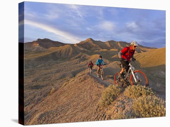 Mountain Bikers on the Zippy Doo Dah Trail in Fruita, Colorado, Usa-Chuck Haney-Stretched Canvas
