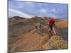 Mountain Bikers on the Zippy Doo Dah Trail in Fruita, Colorado, Usa-Chuck Haney-Mounted Photographic Print