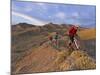 Mountain Bikers on the Zippy Doo Dah Trail in Fruita, Colorado, Usa-Chuck Haney-Mounted Photographic Print