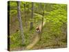 Mountain Biking at Brown County State Park in Indiana, Usa-Chuck Haney-Stretched Canvas