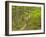 Mountain Biking at Brown County State Park in Indiana, Usa-Chuck Haney-Framed Photographic Print