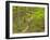 Mountain Biking at Brown County State Park in Indiana, Usa-Chuck Haney-Framed Photographic Print