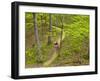 Mountain Biking at Brown County State Park in Indiana, Usa-Chuck Haney-Framed Photographic Print