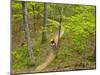 Mountain Biking at Brown County State Park in Indiana, Usa-Chuck Haney-Mounted Photographic Print