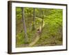 Mountain Biking at Brown County State Park in Indiana, Usa-Chuck Haney-Framed Photographic Print