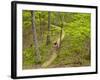 Mountain Biking at Brown County State Park in Indiana, Usa-Chuck Haney-Framed Photographic Print