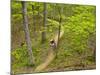Mountain Biking at Brown County State Park in Indiana, Usa-Chuck Haney-Mounted Photographic Print